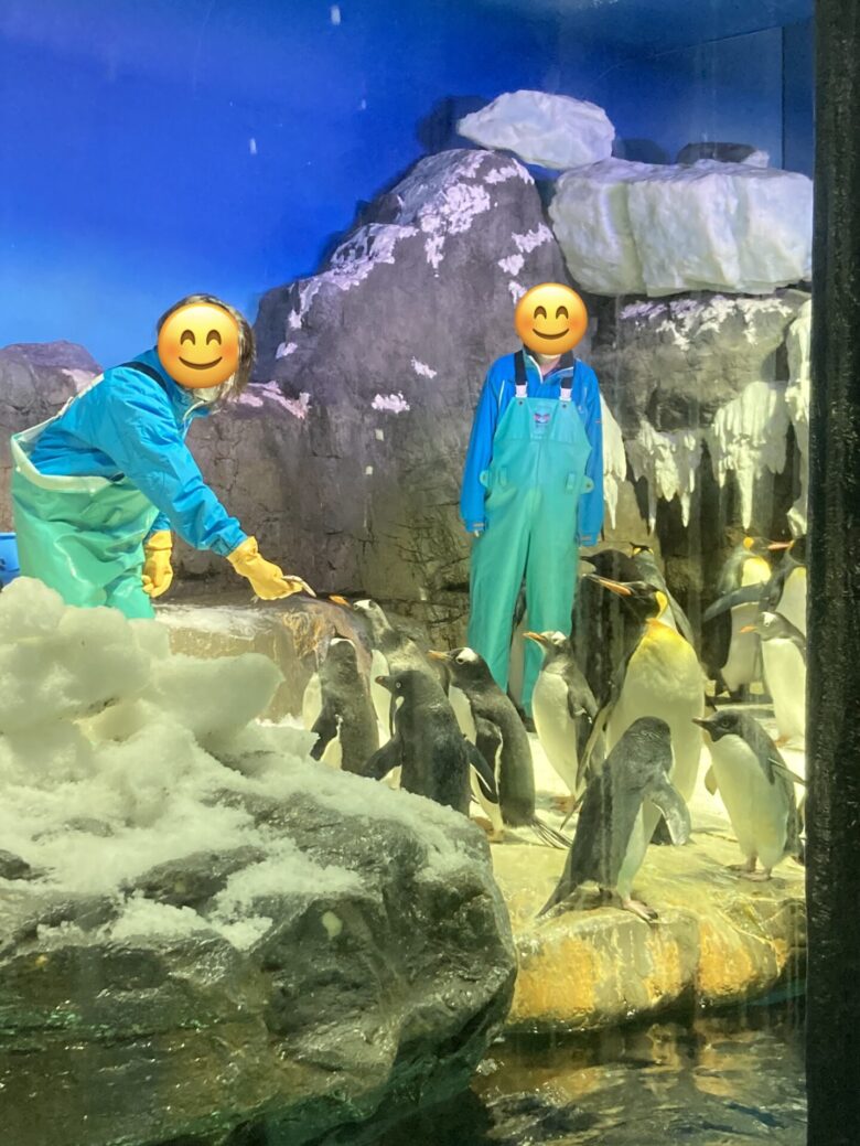海遊館：ペンギン
