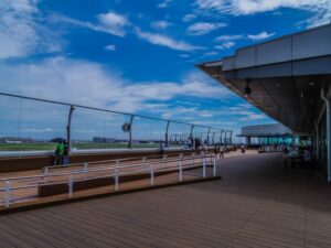 haneda