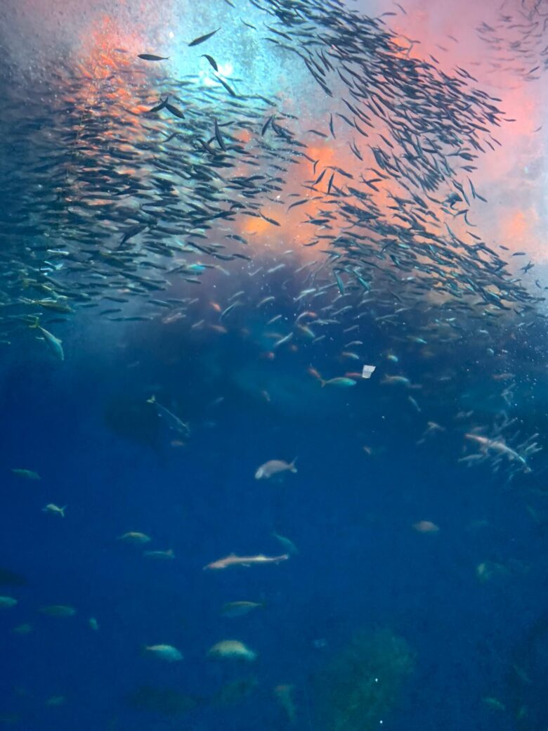 アクアワールド大洗水族館